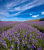 54523a4e17c05773306ed2c06f49e54d.png