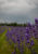 37fa41edd59a0ee89c28877a0a999084.png