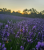 ba05f522339116cd8ebf50357a712a80.png