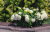 5d3eebaf5a079733724f75cf8fdbc3dd.png