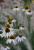 3aebf5b78b6be2dd1c834ccda706596b.png