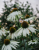 2e75abbb8adb30d7e85c2f8405761dfa.png