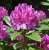 f38355b507cea9c519b6e5fcfbdc6101.png