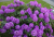 fc05e906b0757675233e53e555096a53.png