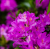 97645744b1703cfee4efd1949f8f3b3c.png