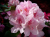 11f0c460191d87f23b0efa393f9a1a2c.png