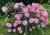 5ebc84024f89b967726bd029677003d6.png
