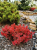 b7b6adcd525f29df9106ea459502d64a.png