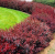 c3d07c4d6d18d7eb2cb86576ceca6f8b.png