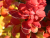 ee8bdeea01892075030a4c41410bc896.png