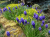 3580ea3f9f50a6c3094eeed20ae1382d.png