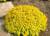 26e73eac3307ca699a15dd7a2886c6a1.png