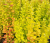 74d0b7683a3b8747b7c05f0bccf84f50.png
