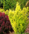 d0a8078967ccdcdf5c8dd088f98063ac.png