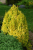 4e244b5a9c6ba44b0a726656bb12d7b8.png