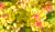 bac5ffc62d50fde074b2c98056021edd.png