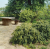 af2d3700b4e0b7c9fe7a3a5ebe81c4f3.png