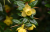 4cc0855dd653a776319cd0ca133fdfbd.png