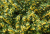71e4b61d845a04efc4f7b40c11d58af1.png