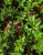 f756727ce1528c5adfa07611e3472f55.png
