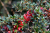 fccdabff3674c10615a9f6f2191d5738.png