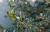 042aa668bda44cf8c673b274c80ec3d4.png