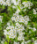 964fd8bb6173c035b56ad4ca98d5a224.png