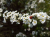 322e968fb4a177f872da7bcec5a3bf85.png
