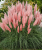 d40bb76d826f8a2296b279eb738b87a2.png
