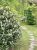 bb781d8f96051144ac1bf04f3e438124.png