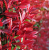 364ed199f3efc92eccd0f3d7f27ce46c.png