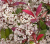 4320b8e562ebb34c70f9627a204b4ba2.png