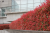 36324aa543c305febcfc7693122f1bd3.png
