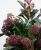3d2c1fdb1fbe89a1417baab8dd493a03.png