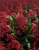c5a521adc46cc86c2bdd29aaa6a4bbe9.png