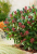 8f73757eee07c0922175416b2391a75d.png