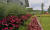 c013d90782965a21c255b90ab1851227.png