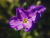 c85e1ac95fbb97717c3972897952f9cd.png