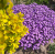 3871d566d56fa9251f64024a7f6e1231.png