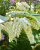 cf76c540993e4cc16dfcbd4c96def203.png