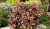 f6fc590406b4c4695df0d51d34f9c459.png
