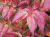 224a96cb56aa499608477f1b834991c1.png