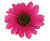 bb39c899f6b6b70bb818dca6527634fb.png
