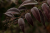57ab29827bda87648266f3fd5b5e83be.png