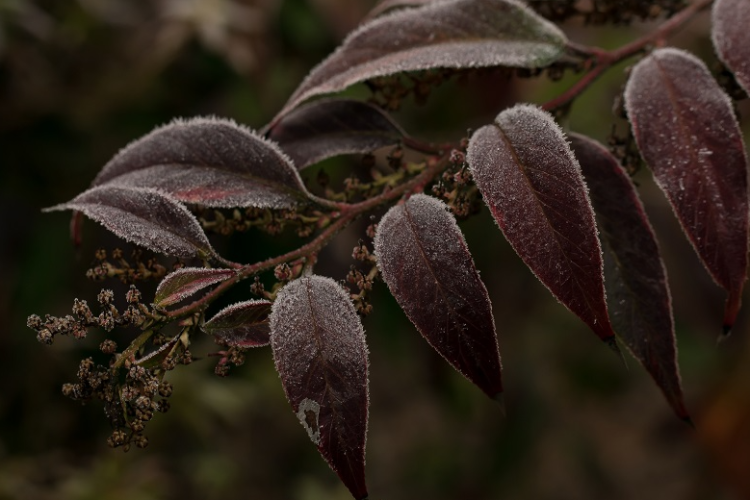 57ab29827bda87648266f3fd5b5e83be.png