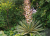 d5531829c11045b2dd6c19906f79ffd4.png