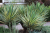 368bdf23259e8fcf45521be42362992b.png