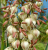 b55103ded7e30229e325cdeb911c0938.png