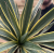 f11a89cbd95678614a2896a345978ffd.png