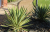 a435dd61aec2ede860284bcb4350e360.png